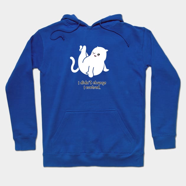 I didn't change, I evolved Hoodie by BOEC Gear